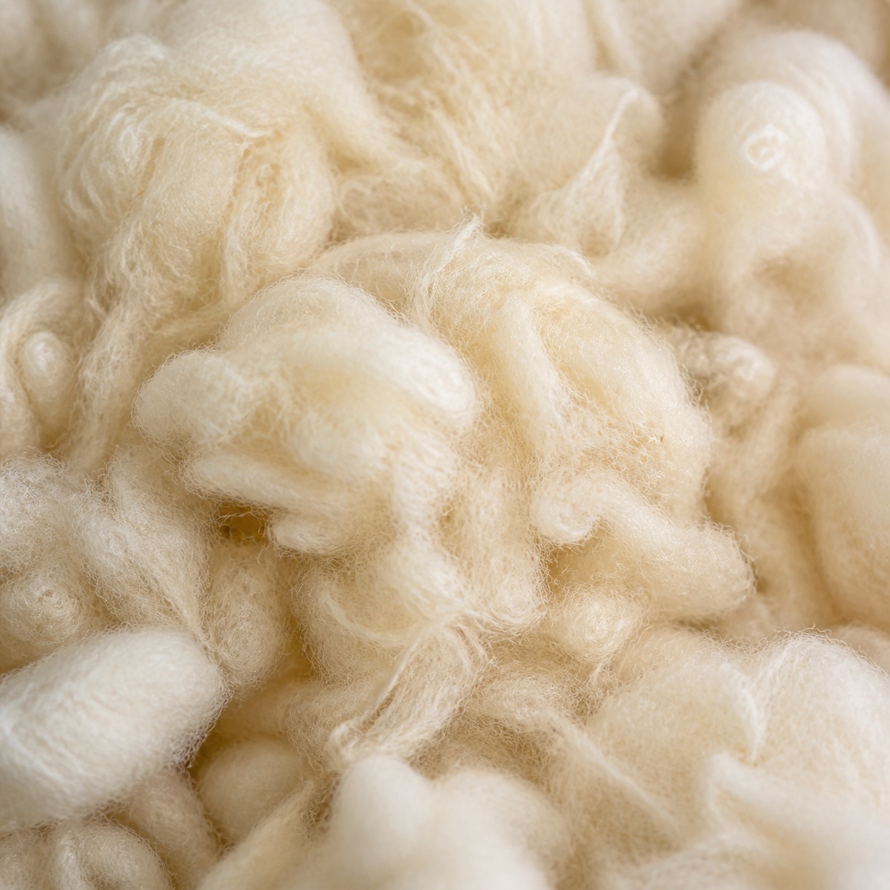 New Zealand natural wool